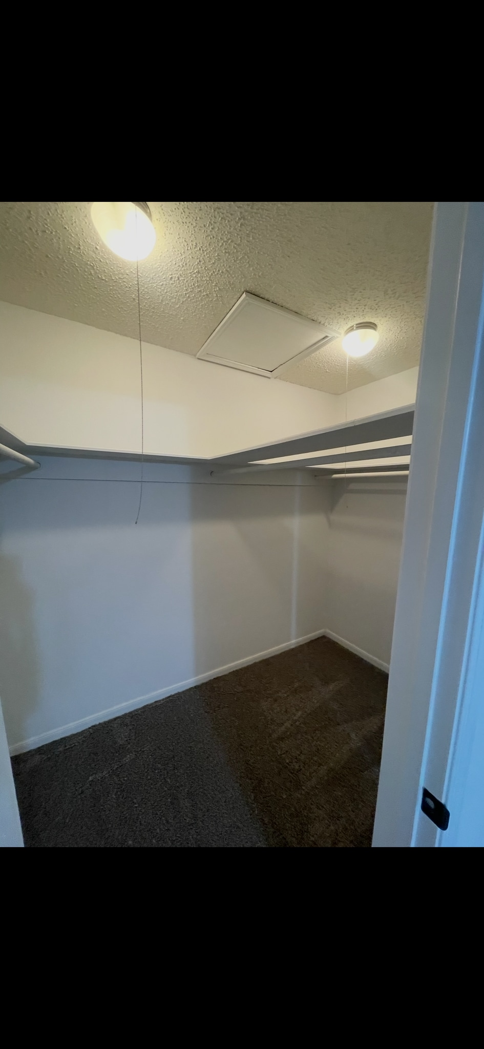 Building Photo - 3730 Thistlemont Dr