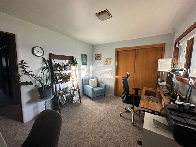 Building Photo - 2348 S Elm Dr
