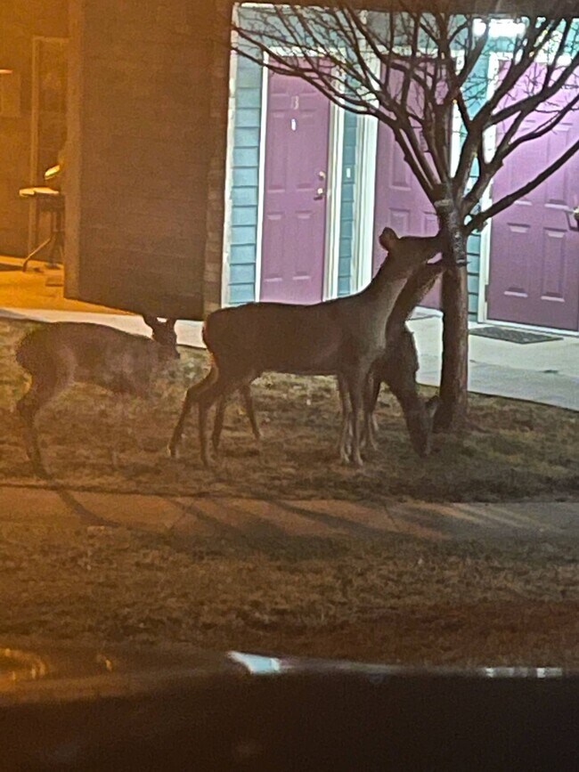 Building Photo - 1917 Deerhaven Ln NE