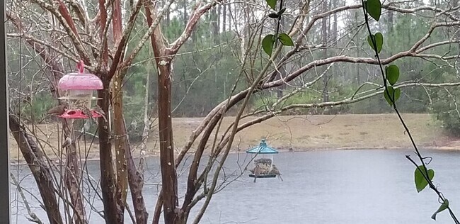 Building Photo - 237 N Hidden Tree Dr