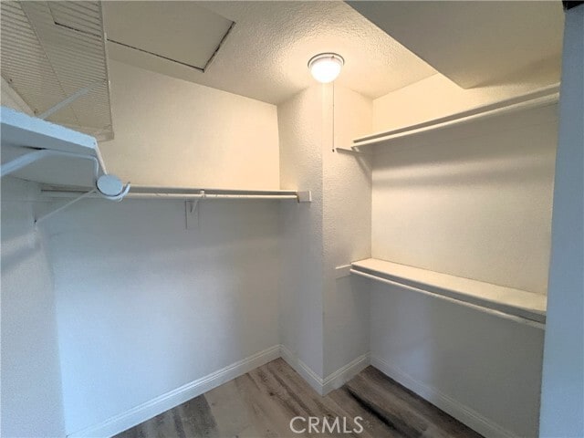 Building Photo - 3773 Burning Tree Dr