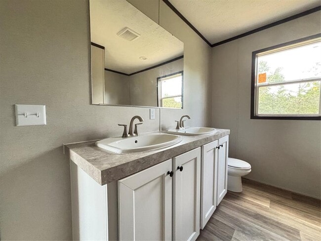 Building Photo - 277 Elm Forest Loop