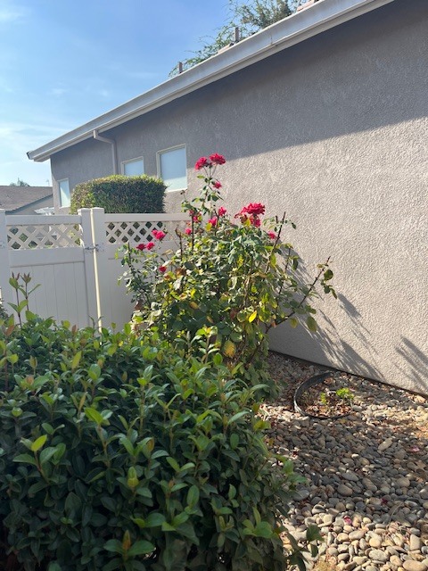 Building Photo - 427 Sea Cove Dr