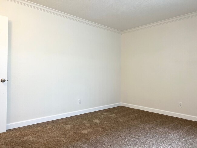 Building Photo - 1 Bed 1 Bath Pacific Beach Apartments