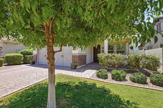 Building Photo - 3429 E Pinto Dr