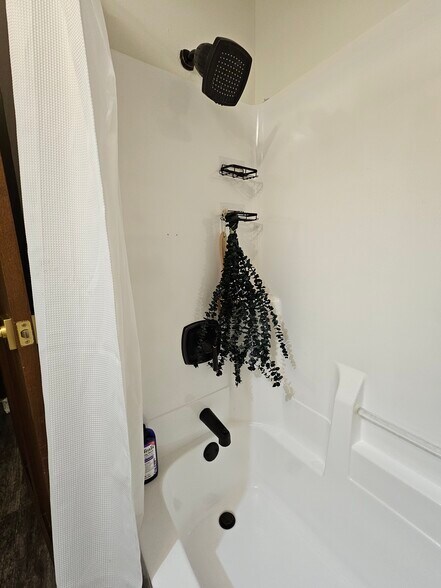 Bath Tub - 332 E Main St