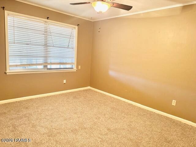 Building Photo - 103 Holly St