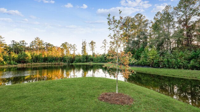 Building Photo - 41 Gypsea Ln