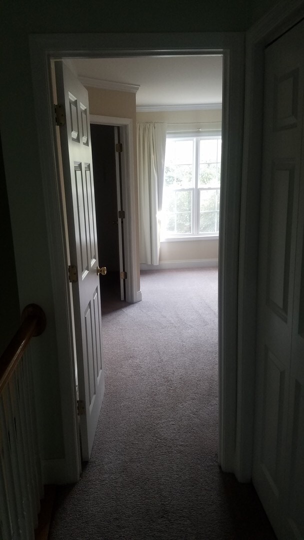 Building Photo - Lovely Townhome in Southeast Columbia
