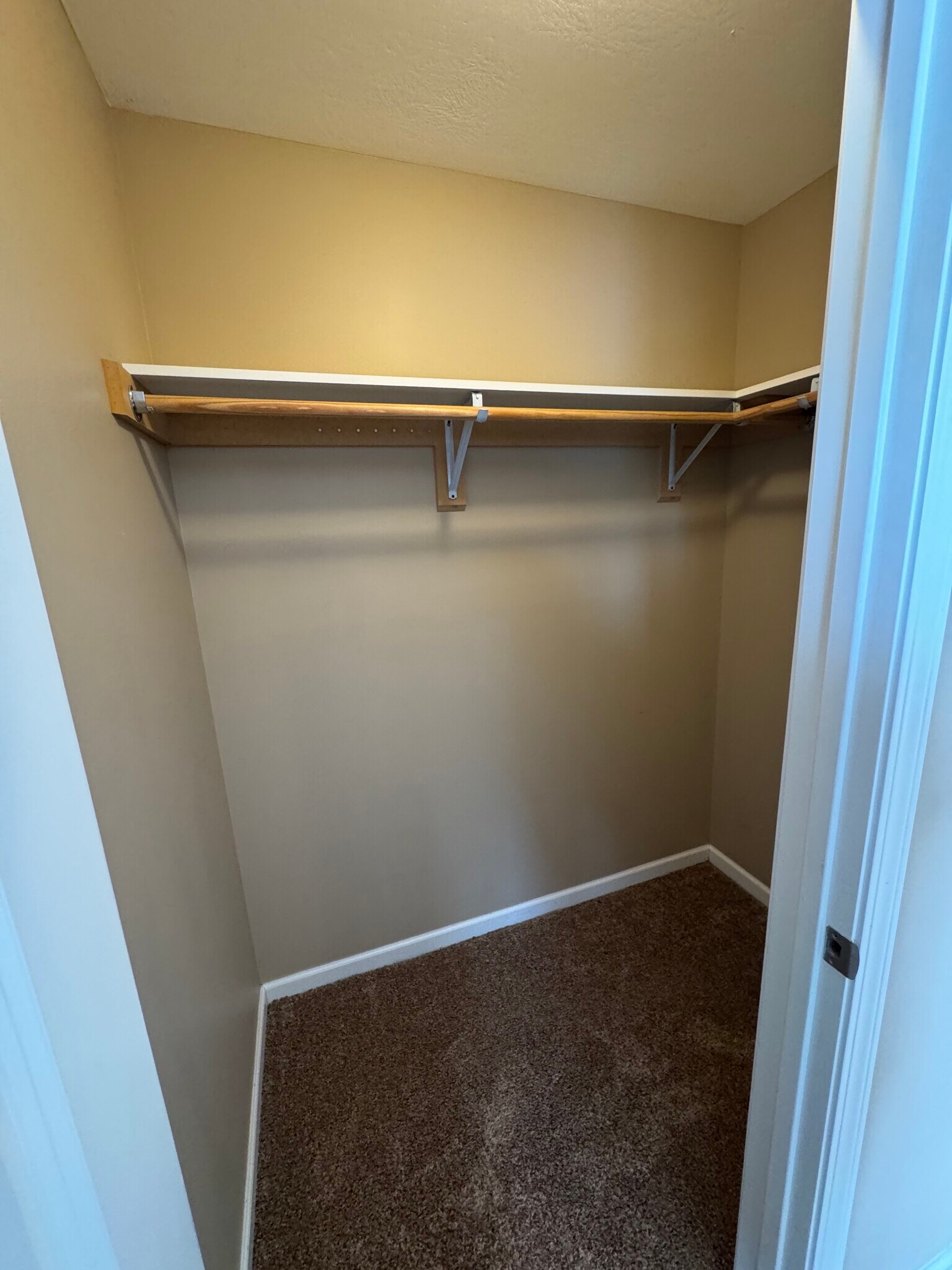 Bedroom 2 walk in closet. - 1343 Easy St