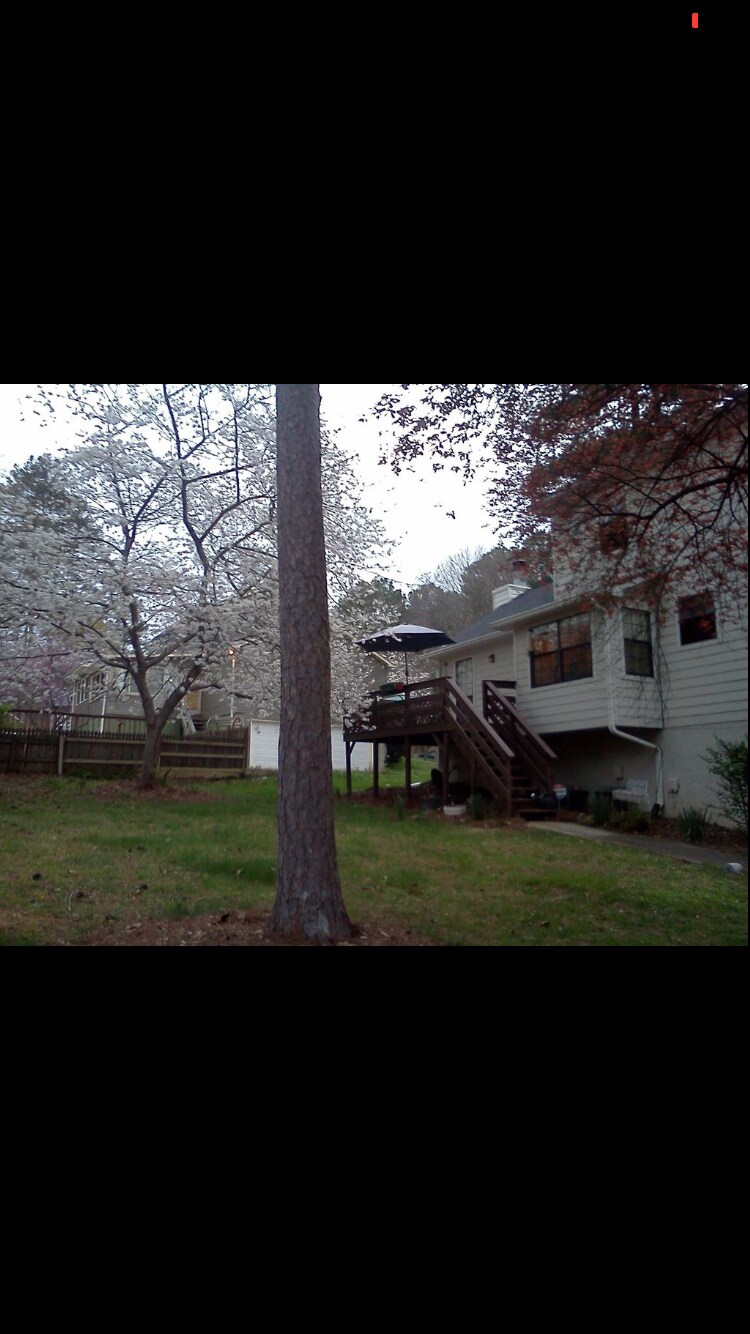 Building Photo - 1411 Glynn Oaks Dr SW