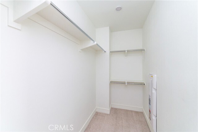 Building Photo - 125 Trumpet Flower