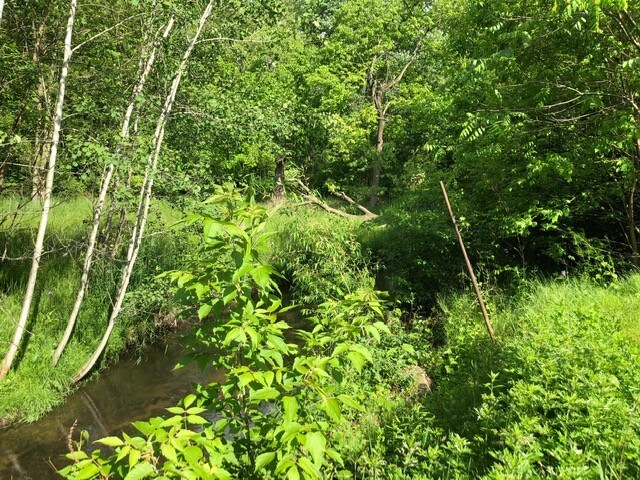 Building Photo - 662 Lamberton St NE