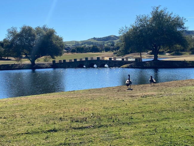 Building Photo - Pleasanton Ruby Hill, French Estate 5 Br.,...