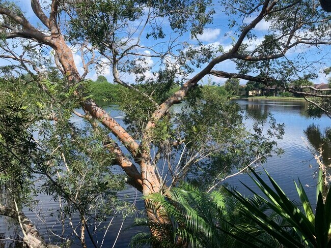 Primary Photo - Village Lake Waterfront Condo