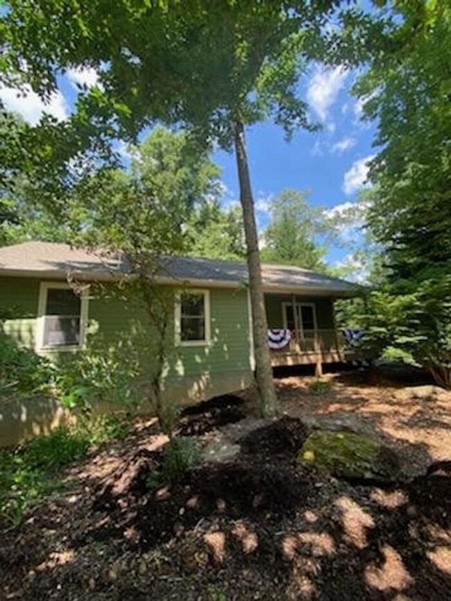 Building Photo - Peaceful Black Mountain Cottage