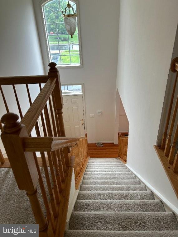 Building Photo - 7209 Bladen Pl