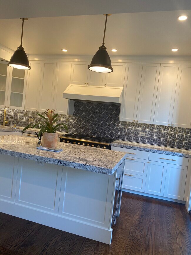 Kitchen shot - 1450 Greenwich St