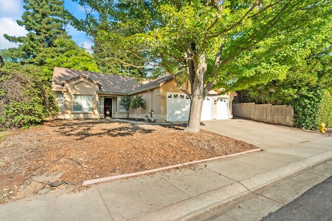 Building Photo - 302 Carlina Ct