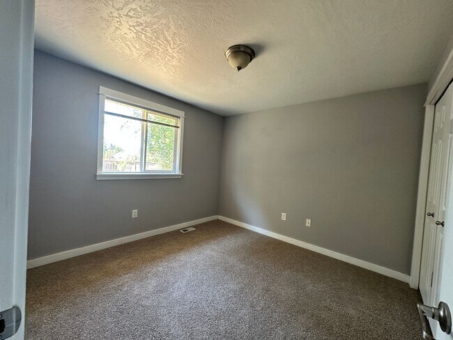 Building Photo - New Carpet