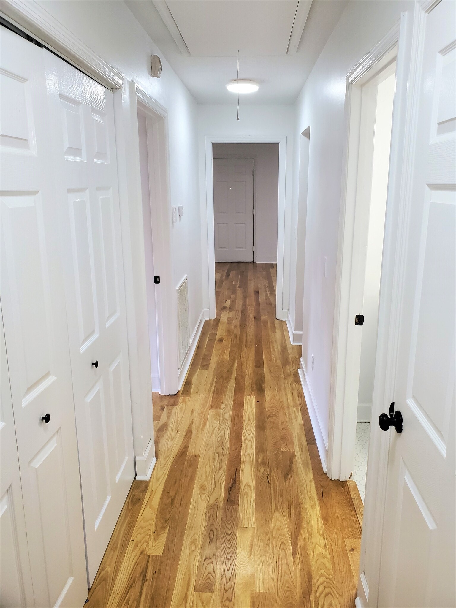 Rear of hallway, facing the front door. - 1025 Wade Ave