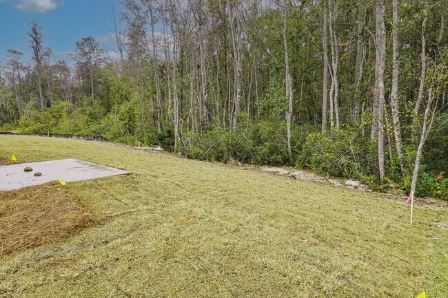 Building Photo - Available Now!