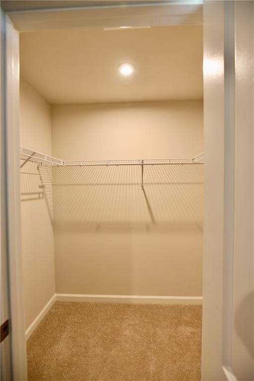Building Photo - 8421 Limerick Ln