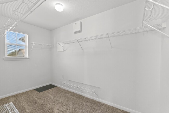 Building Photo - 16727 Summer Cypress Ct