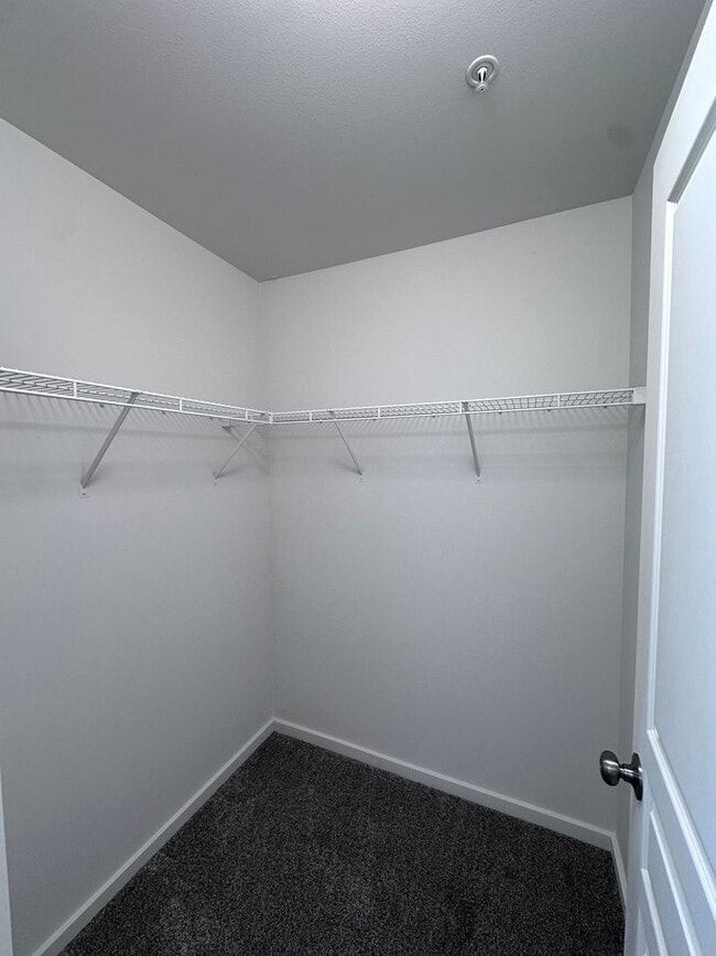 Building Photo - Newly Updated 3 Bedroom Available 12/1