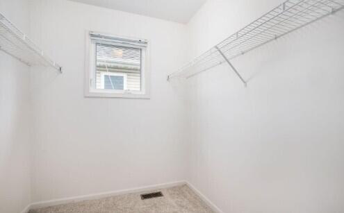Building Photo - 905 Wildt St