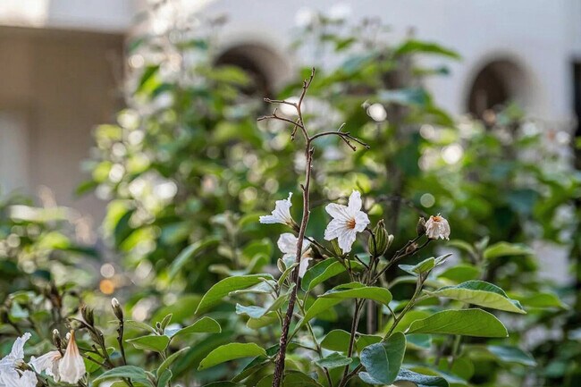 Building Photo - 3404 American Dr