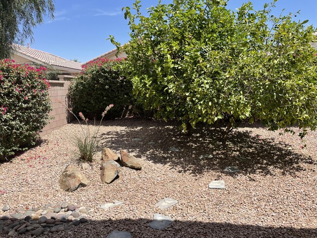 Building Photo - 78472 Glastonbury Way