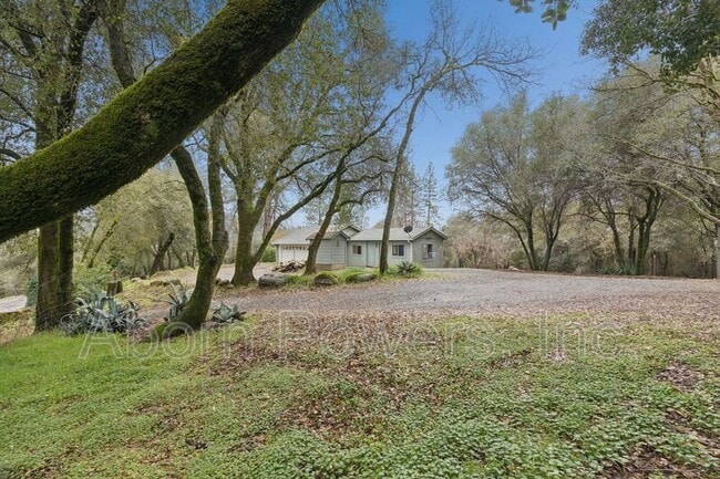 Building Photo - 1800 Tyrrel Ln