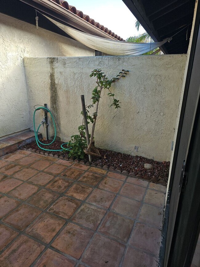 Building Photo - 3946 Mesa Cir Dr