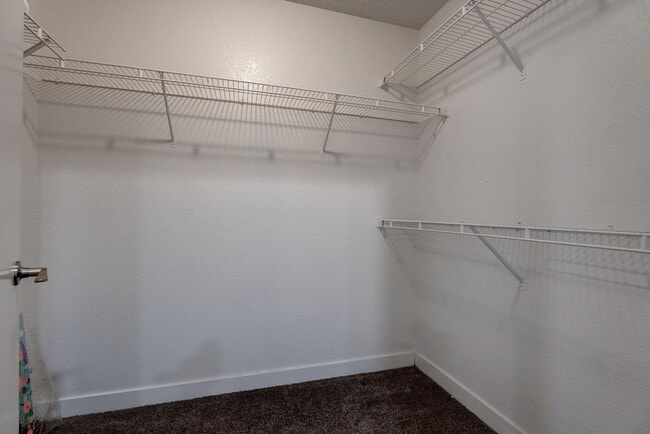Building Photo - 7905 Idledale Ct