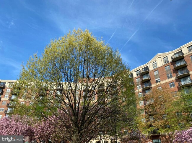 Building Photo - 3401 38th St NW
