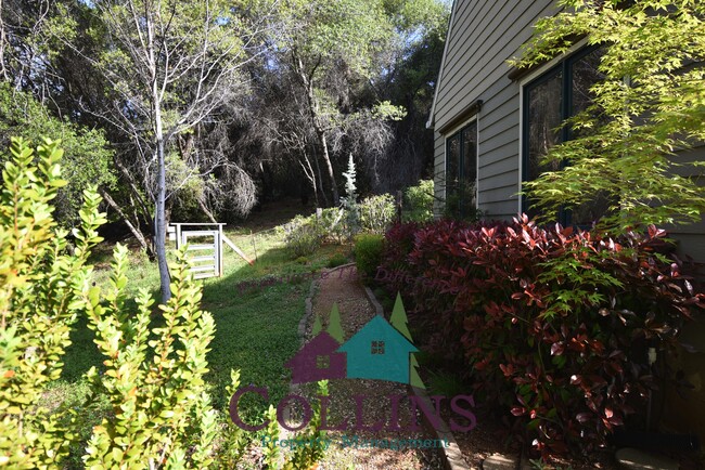 Building Photo - 18786 Buck Mountain Rd