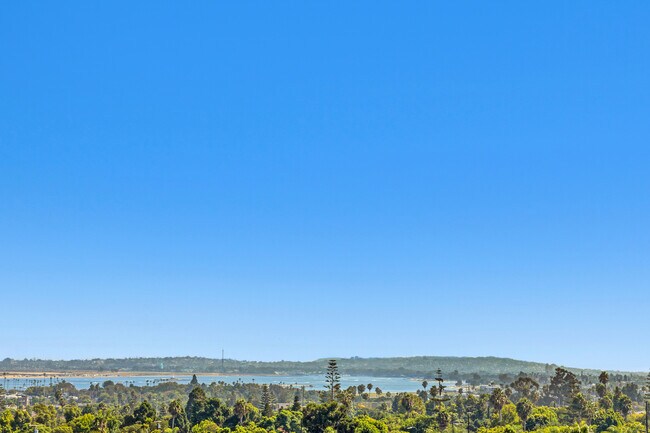 View - 2461 Geranium St