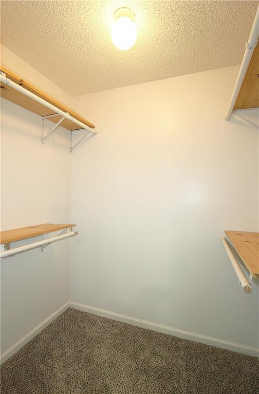 Building Photo - 210 Spring Heights Ln