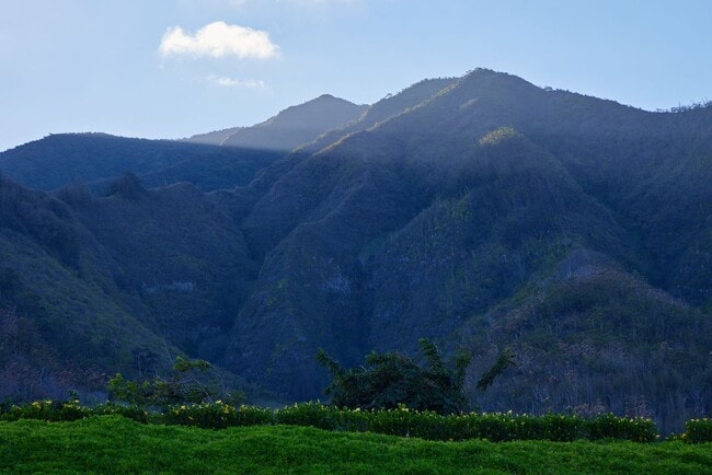 Building Photo - 3 Bedroom / 2 Bathroom – New Build for Lease in Anuhea at Kehalani (Pet Friendly!)