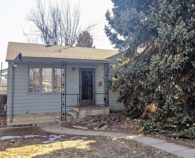 Building Photo - Beautiful 2 bed, 2 bath Old Town ranch one...