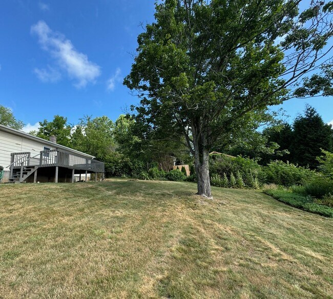 Building Photo - West AVL  - Mountain Views, Garden Space, Beautiful Yard!