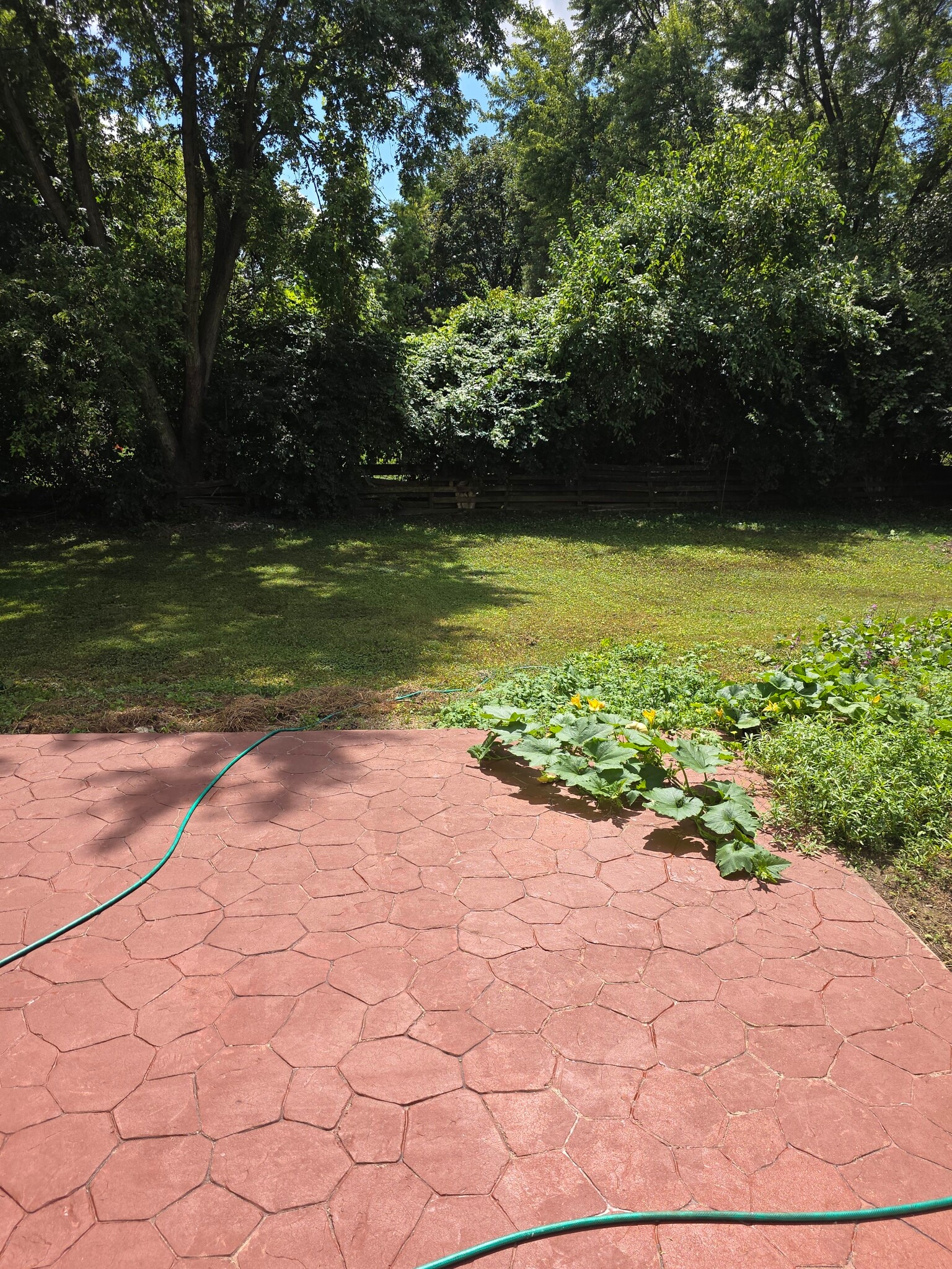 Building Photo - 3115 Larbrook Ct