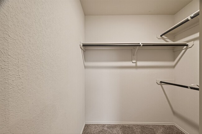 Building Photo - 23506 Umbrella Pine Dr