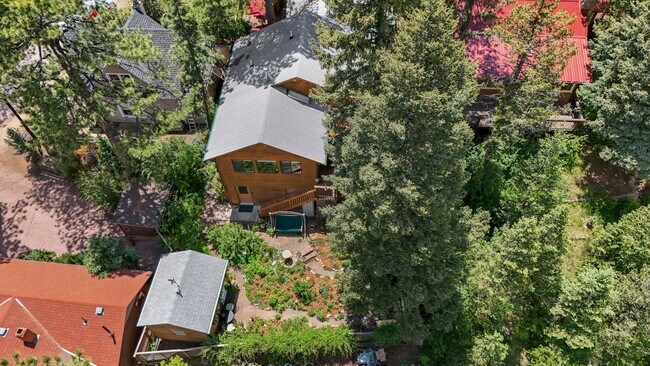 Building Photo - Cozy Green Mountain Falls Cottage