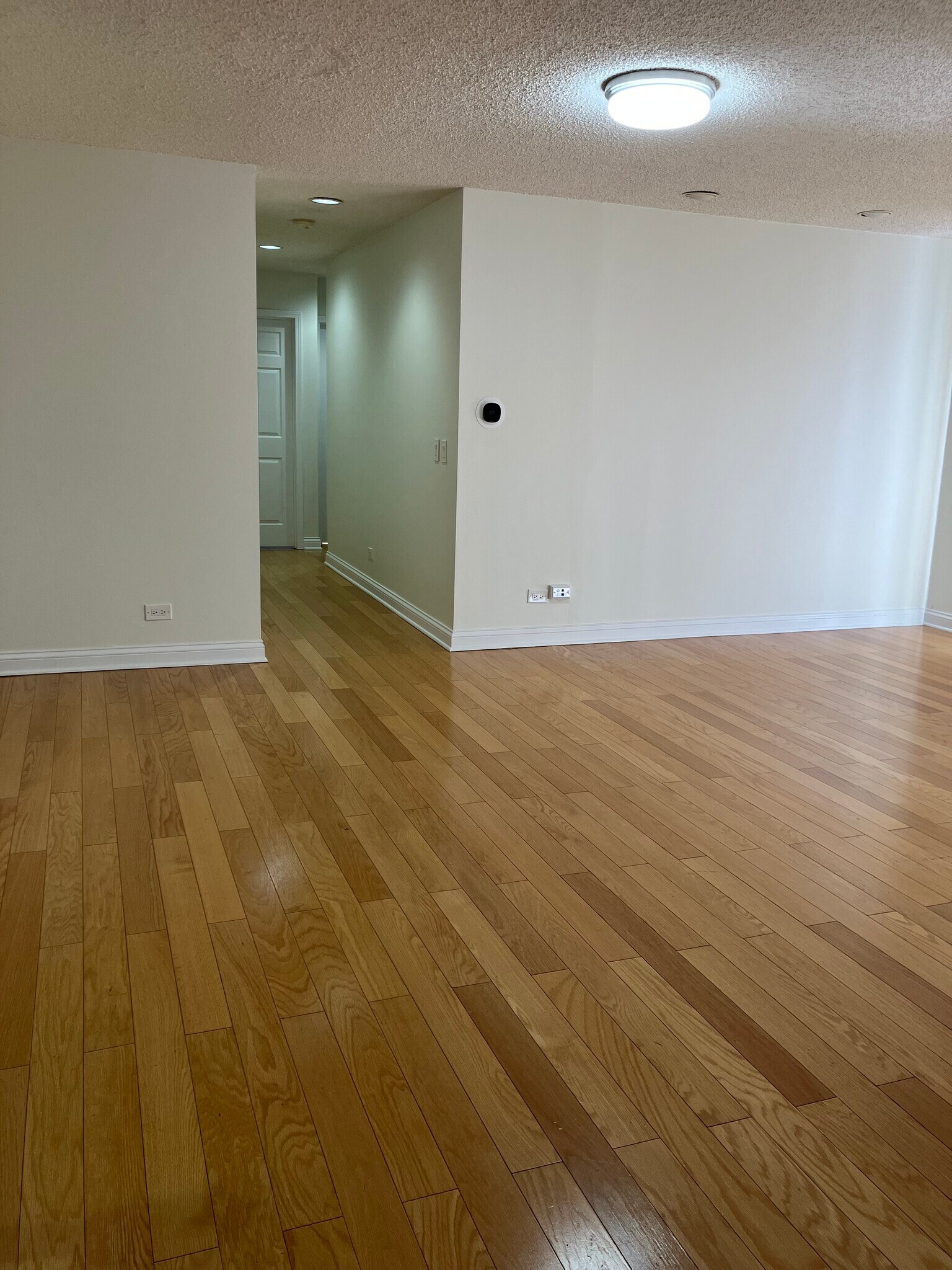 Building Photo - 247 Coventry Cir