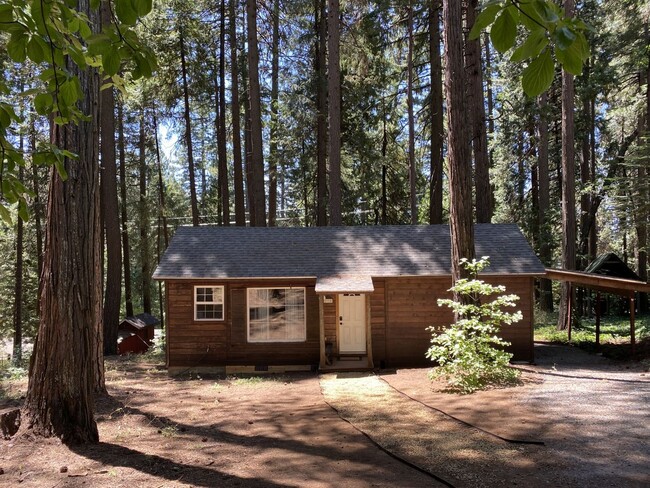 Building Photo - Doll House in the woods! - Pollock Pines $1375