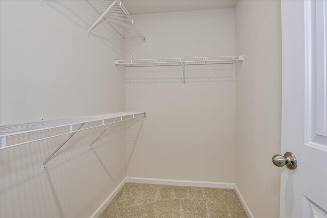 Building Photo - 2047 Catlet Ct