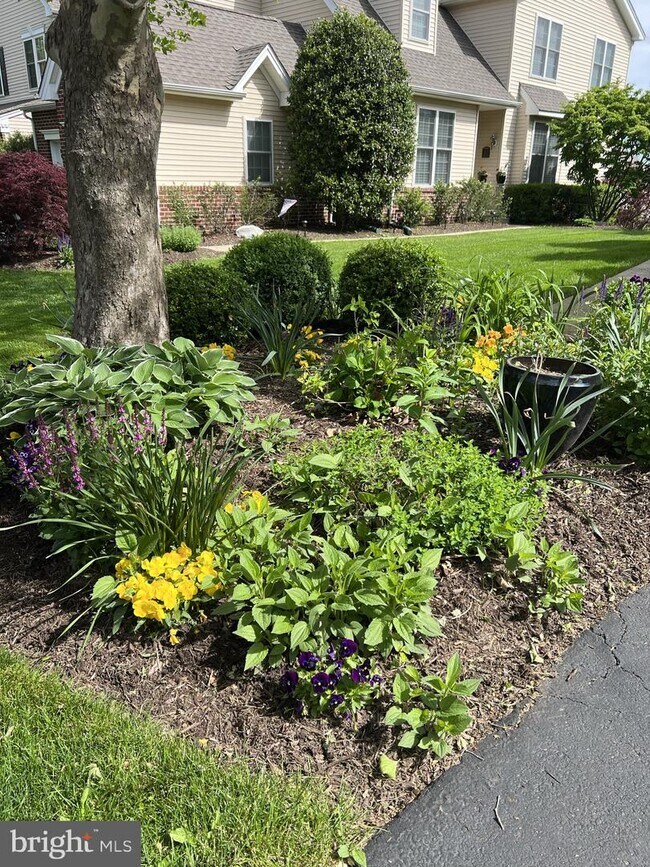 Building Photo - 2303 Dorchester St W