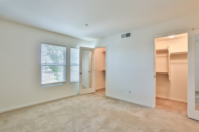 Building Photo - 3542 Shoreline Bluff Ln